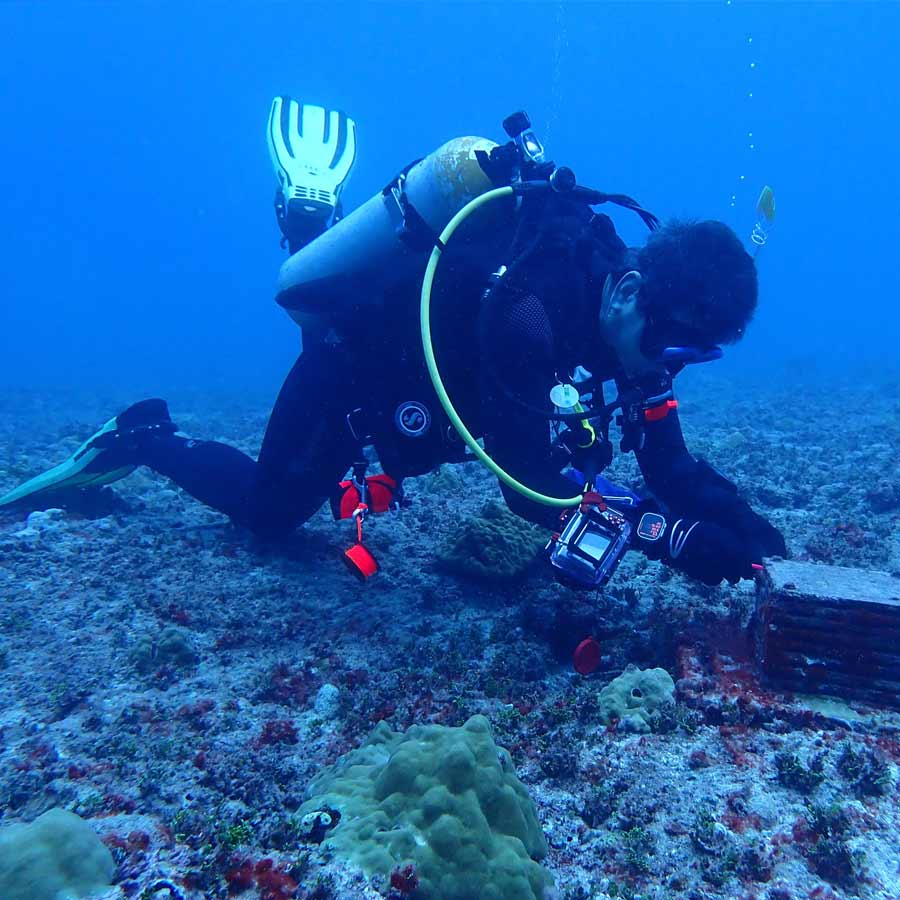 Road made of Brick-Like Yellow structure found on Pacific Ocean floor in 2022 and stunned scientist