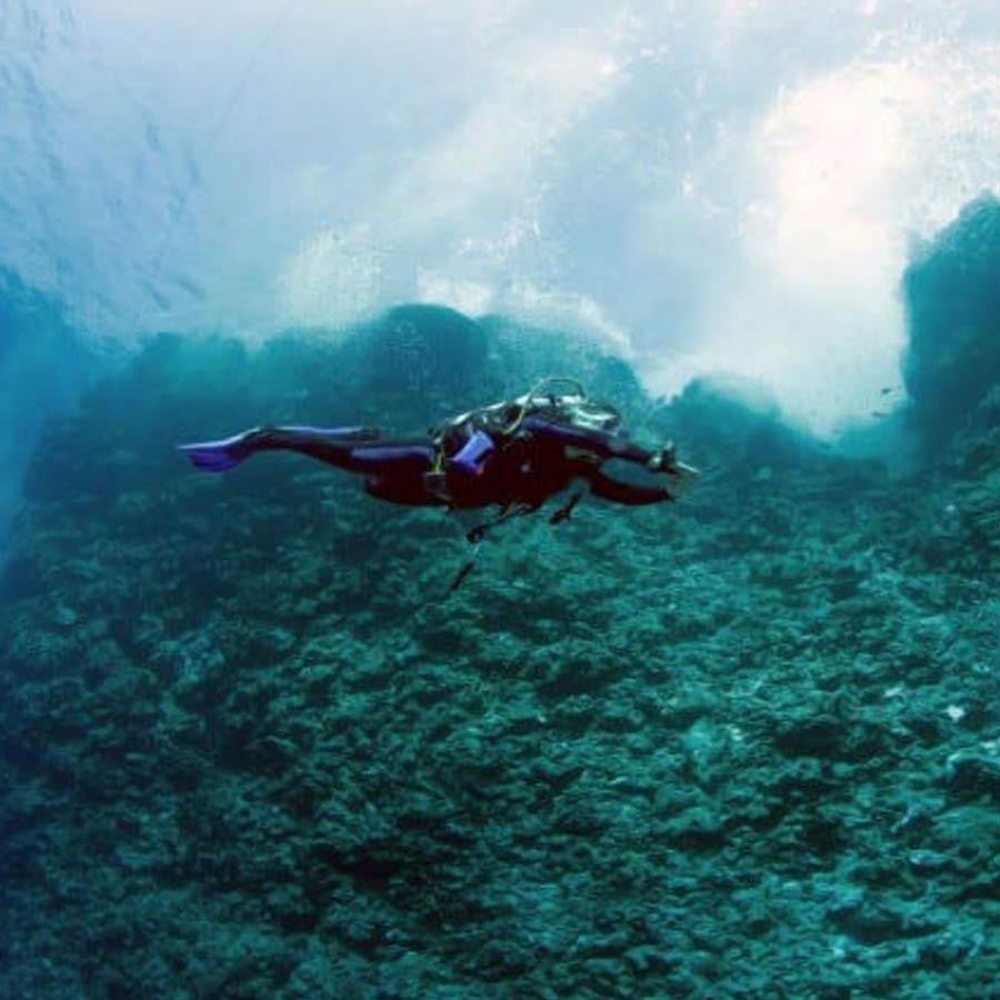 Road made of Brick-Like Yellow structure found on Pacific Ocean floor in 2022 and stunned scientist