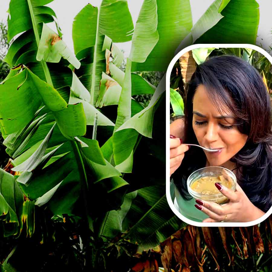 কলাগাছের বিশেষ অংশ দিয়ে ডাল বানালেন সমীরা রেড্ডি।