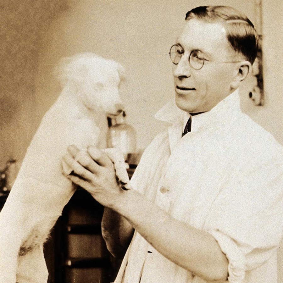 আবিষ্কারক: গবেষণাগারে ফ্রেডরিক ব্যান্টিং।