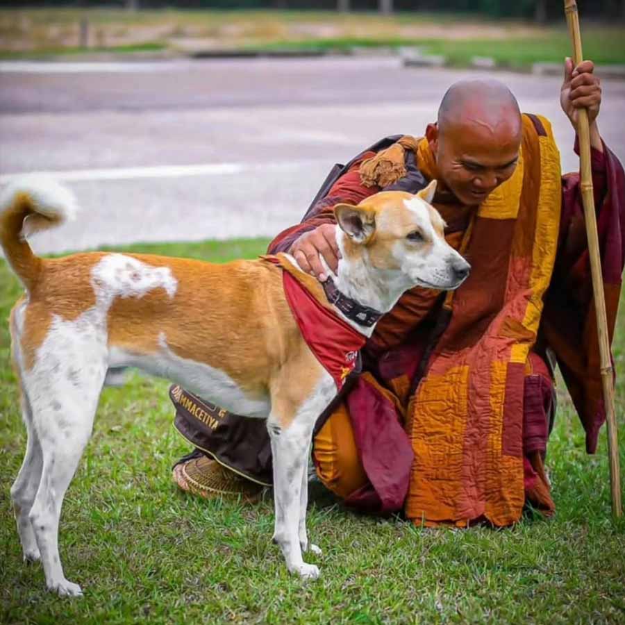 আমেরিকার রাস্তায় বৌদ্ধ ভিক্ষুকের সঙ্গে আলোক।