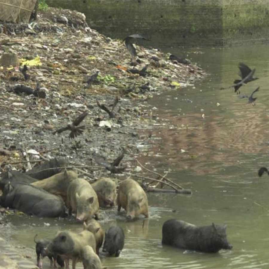 Humiliation of Government in he name of Cleansing the Ganges