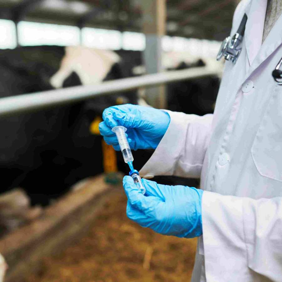 প্রতীকী ছবি।