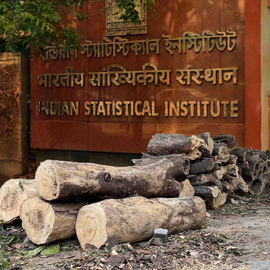 Controversy erupts over cutting of trees at I ndian Statistical Institute campus in Baranagar