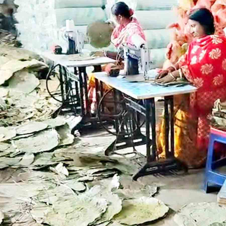 রাইপুরের ল্যাম্পস-এ শালপাতার থালা-বাটি সেলাই চলছে।