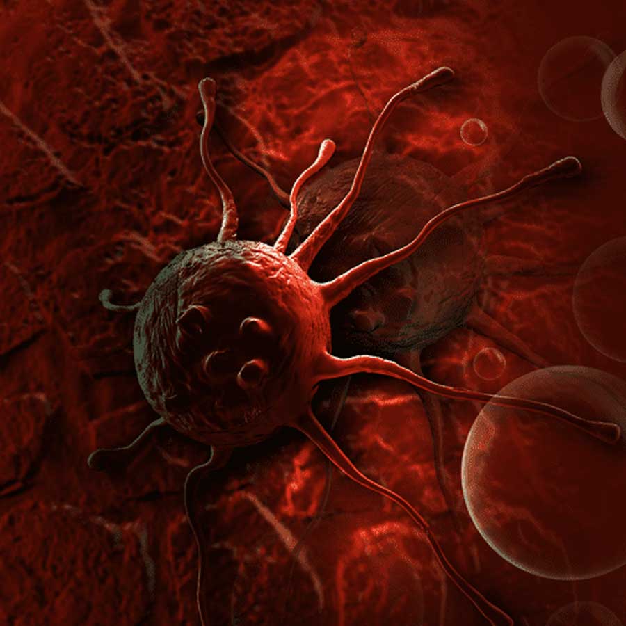 Javaid Perwaiz’s case