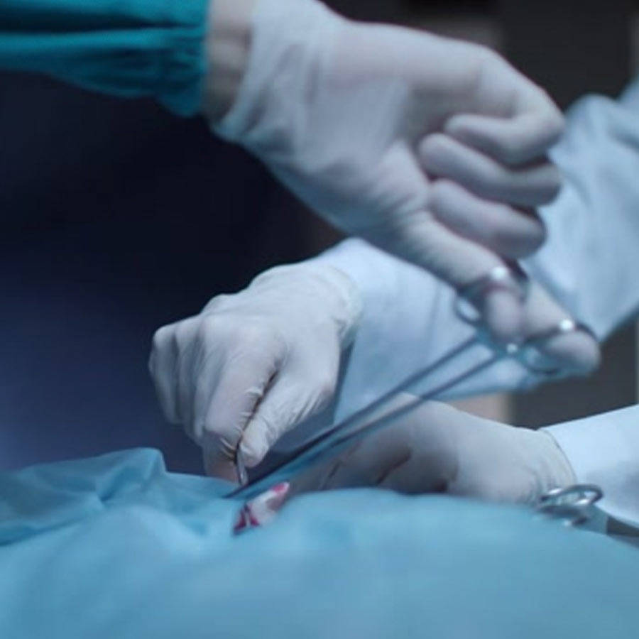 Javaid Perwaiz’s case