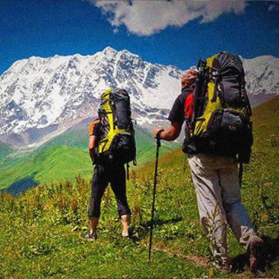 প্রতিনিধিত্বমূলক ছবি।