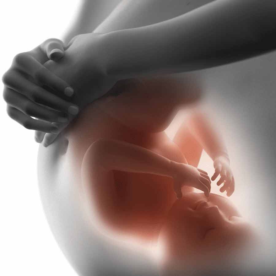 How a mother\\\\\\\'s nutrition during pregnancy affects childs lifelong risk for Type 2 diabetes, new study says