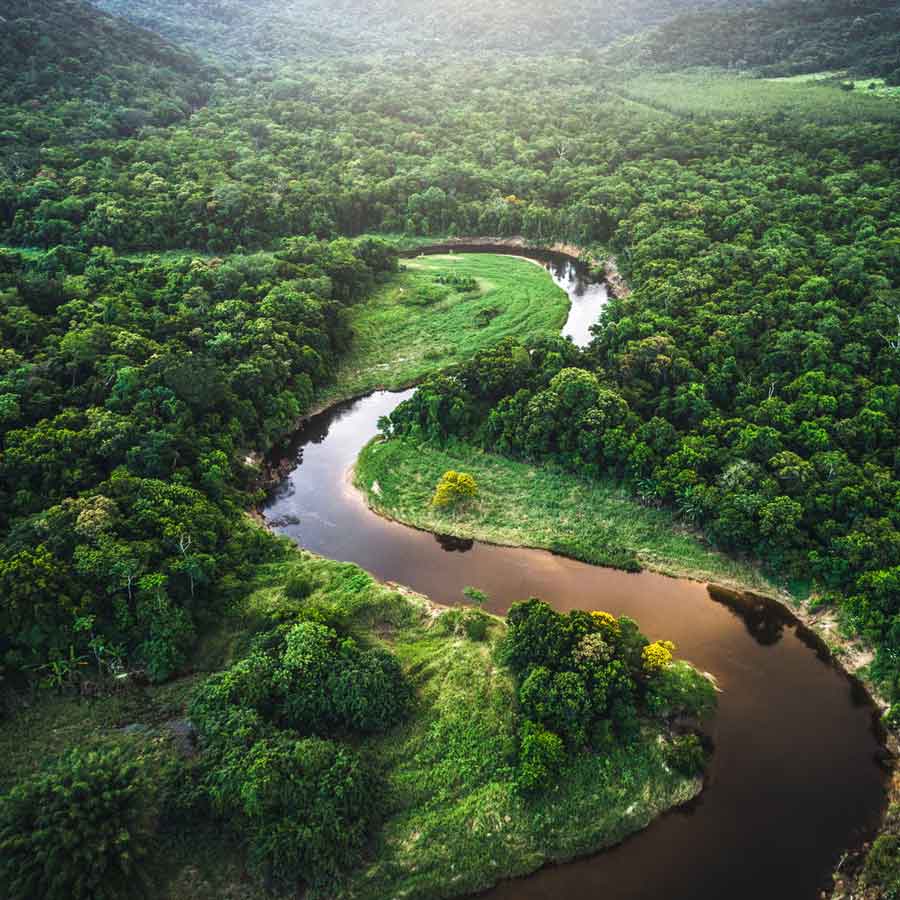 Ford's utopian city in the Amazon 