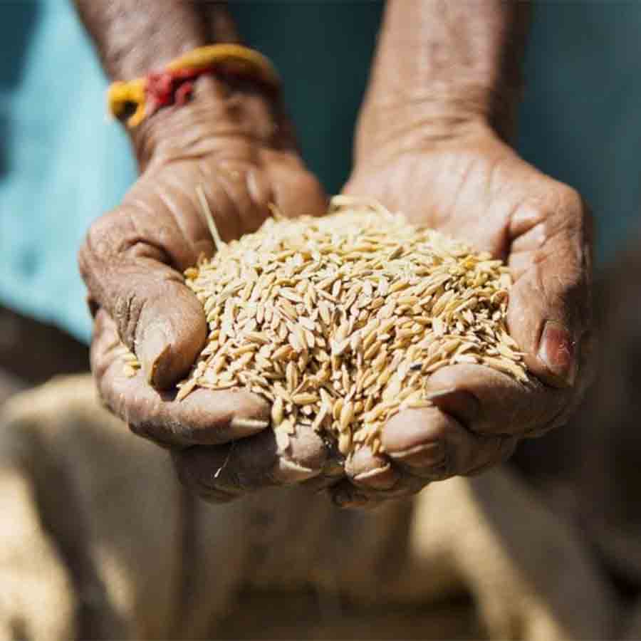 —প্রতিনিধিত্বমূলক ছবি।