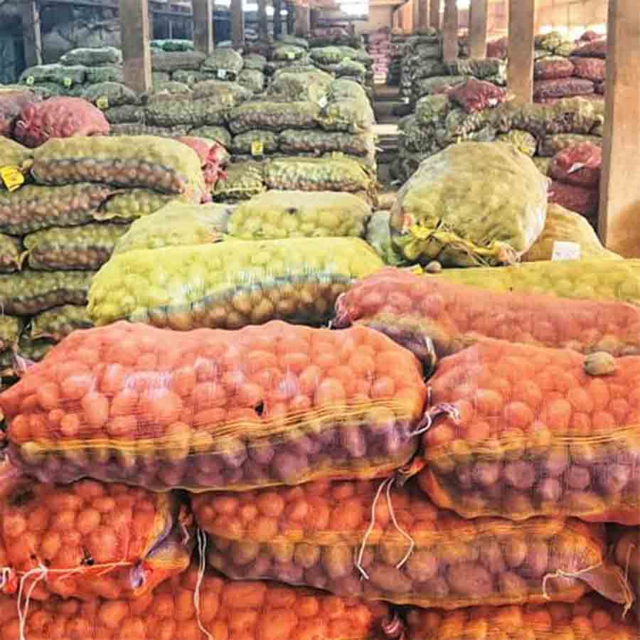 বিক্রি না হওয়া আলুর ঠাঁই হিমঘরের বাইরে। তারকেশ্বরে।