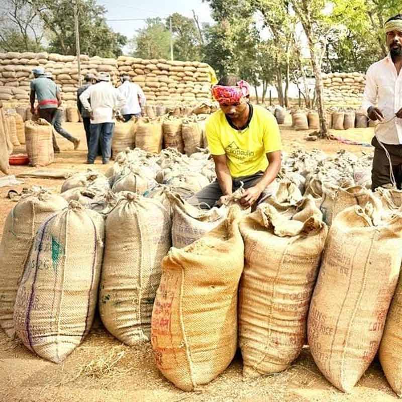 প্রতিনিধিত্বমূলক ছবি।