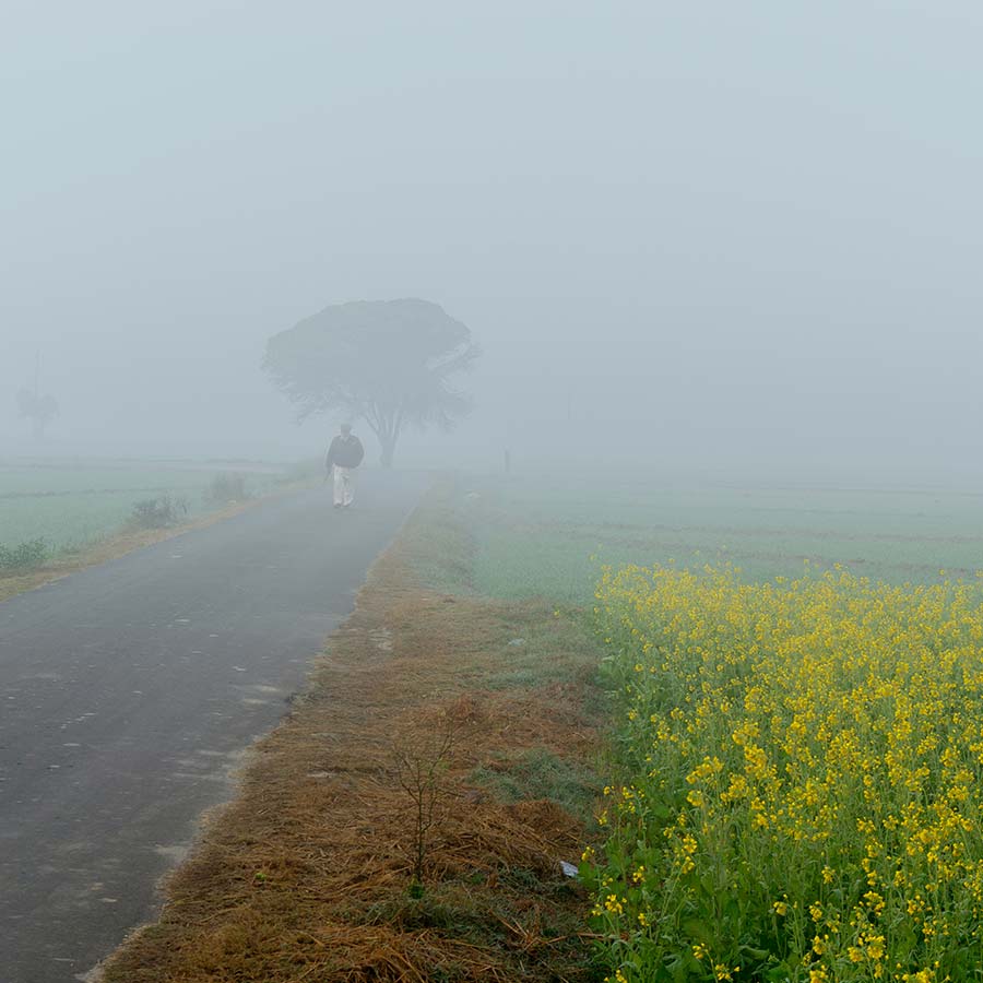 Coldwave condition in Odisha, temperature dips down to zero at Simlipal dgtl