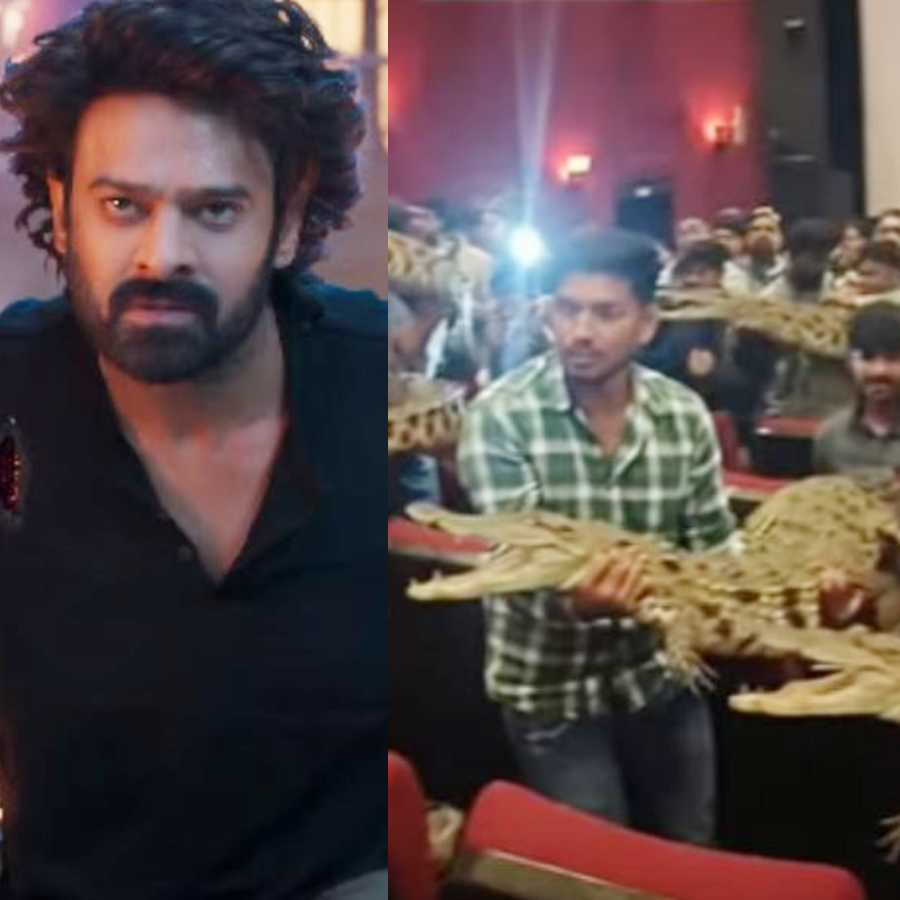 A viewer claimed that The Raja Saab makers offered him money to remove his review dgtl