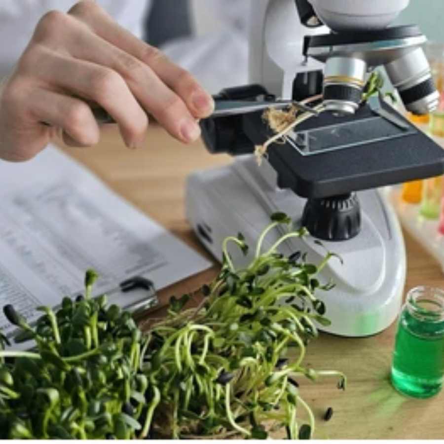 উদ্ভিদবিদ্যা নিয়ে পড়ার খুঁটিনাটি।