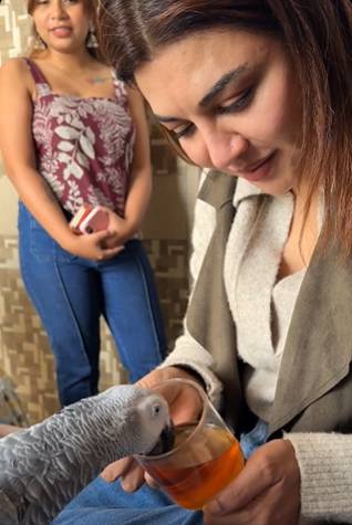 পোষা তোতাপাখি জয়া আহসানের সঙ্গে গ্রিন টি খাচ্ছে!