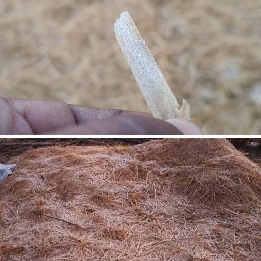 A Thick layer of snow covers paddy straw in West Bengal’s Purulia again and again dgtld