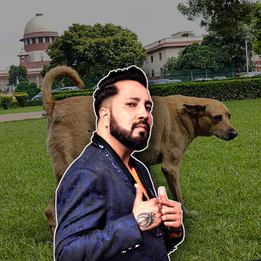 শীর্ষ আদালতের কাছে আবেগঘন আবেদন মিকার।