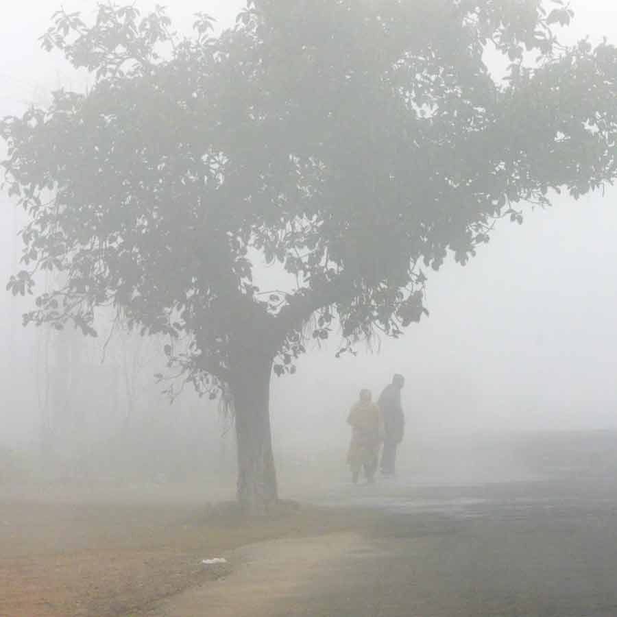 ঘন কুয়াশায় ঢাকা থাকবে কলকাতা-সহ রাজ্যের সব জেলা।