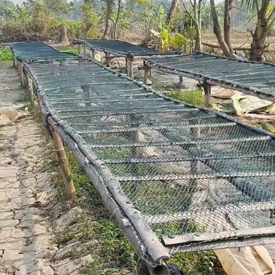 হারালে বাজি বিস্ফোরণের দিন এখানেই শুকোনো হচ্ছিল শব্দবাজি। এখন সেই জায়গা ফাঁকা। সোমবার।