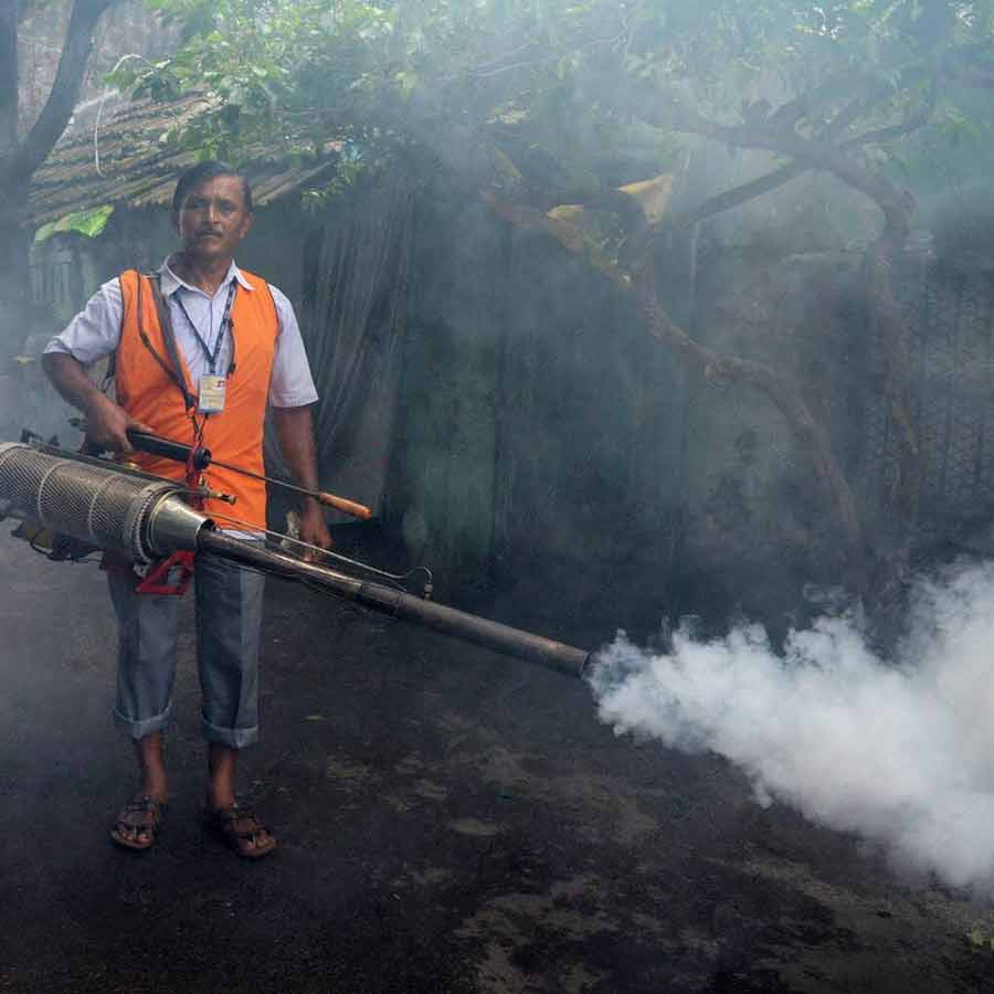 KMC to take action from January 16 to combat dengue in winter
