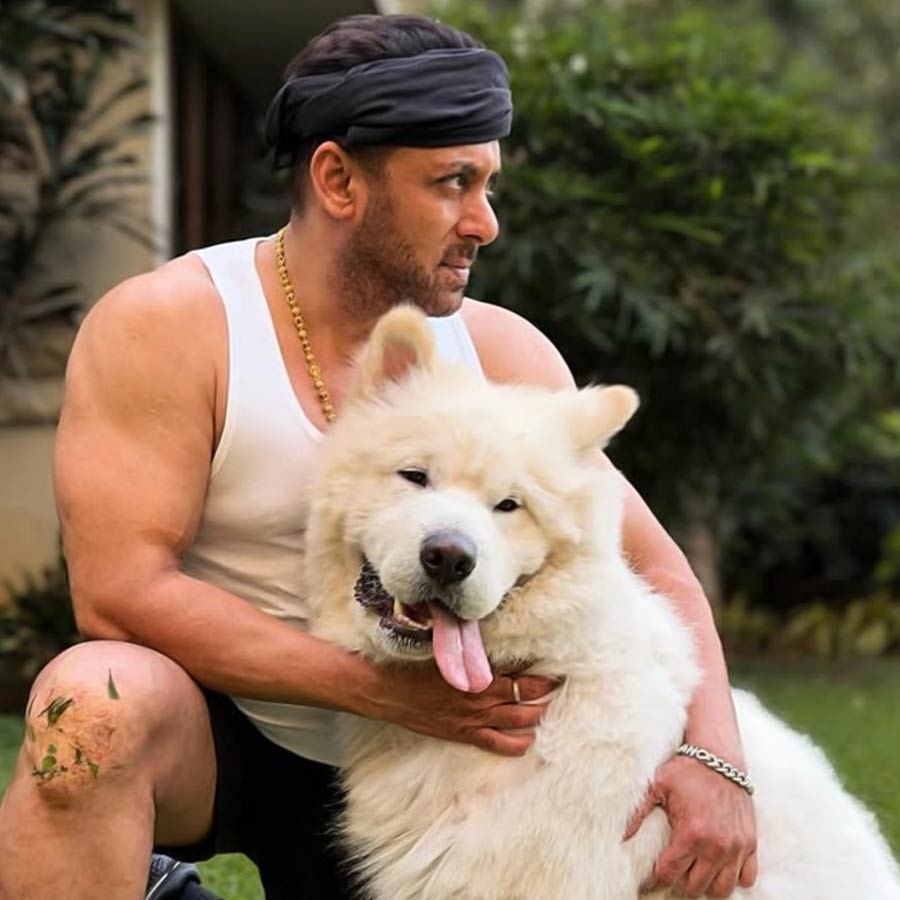 সলমন খান।