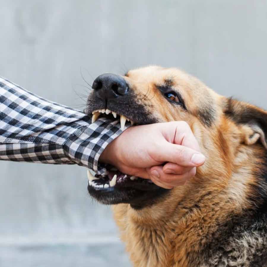 Supreme Court says, it will ask states to pay a \\