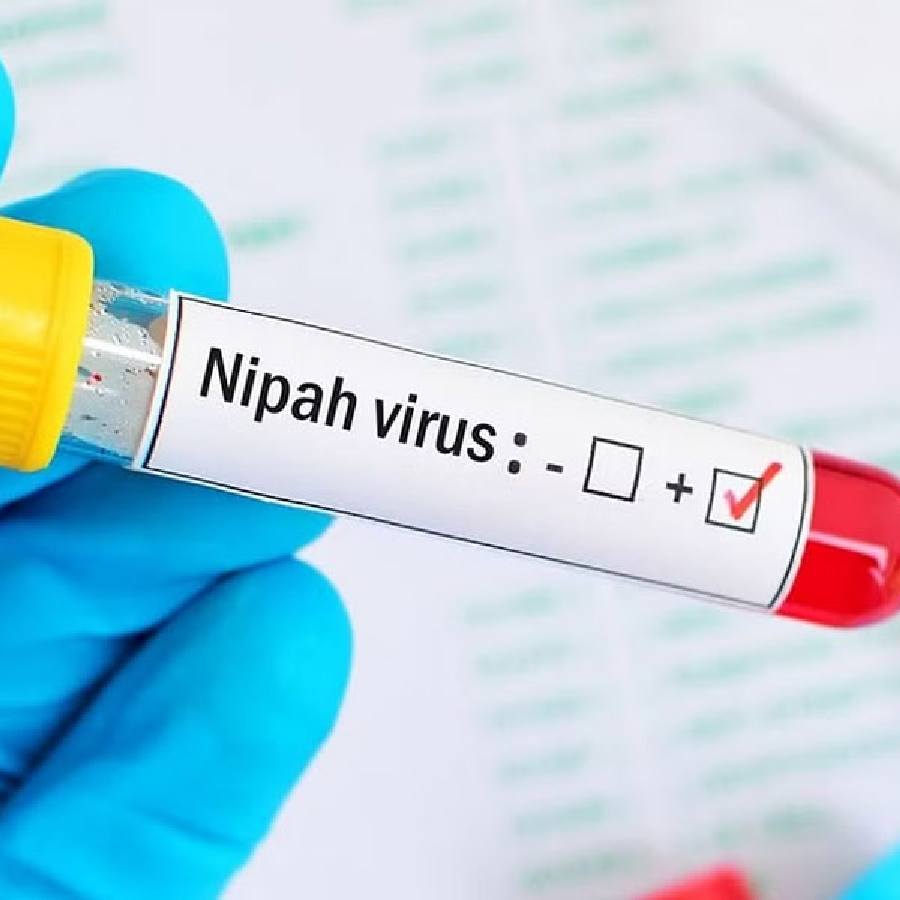 Nipah Virus panic in Nadia, route map of infected nurse stirs fear among people who might have come in contact