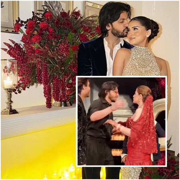 তারা সুতারিয়াকে ছাড়াই নুপূর সেননের প্রীতিভোজে বীর পাহাড়িয়া!