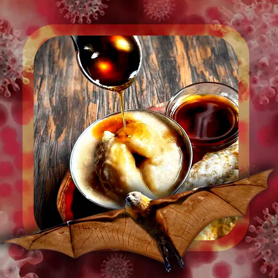 গুড় খেলে কি নিপা ভাইরাসে আক্রান্ত হতে পারেন?