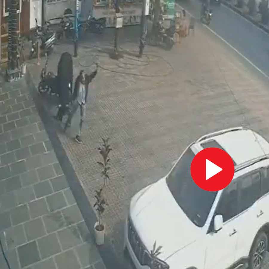 Video Of Restaurant Owner Flung Into Air By Stray Bull In Uttar Pradesh Meerut Goes Viral dgtl