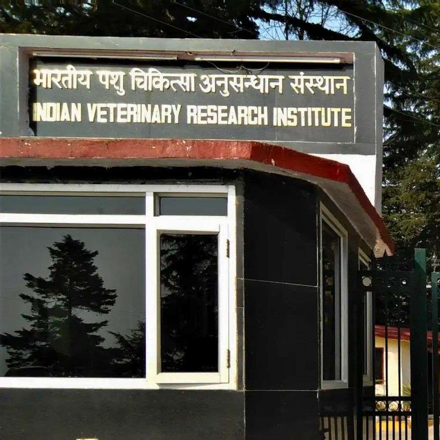 ইন্ডিয়ান ভেটেরিনারি রিসার্চ ইনস্টিটিউট।