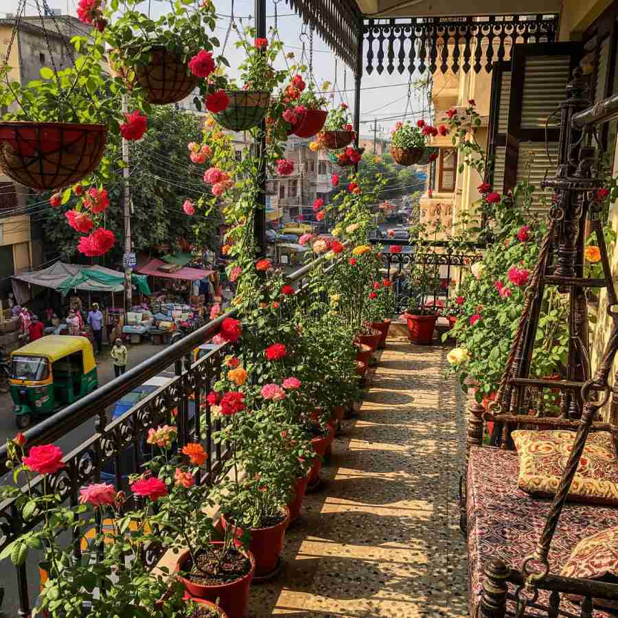 কী ভাবে করবেন গোলাপ গাছের যত্নআত্তি?