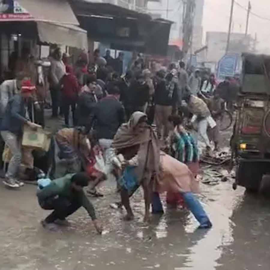 A boy dies in crash but crowd loots fish as his body lies on side