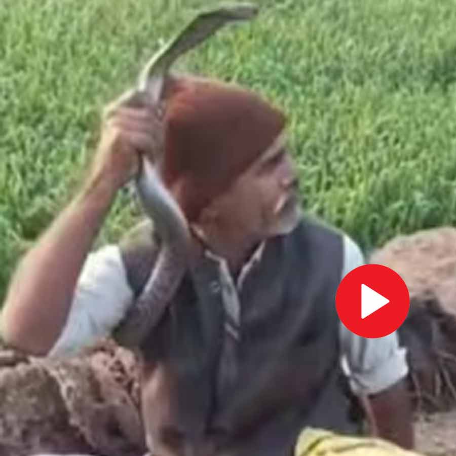 UP man catching a cobra was bitten by thrice and dead