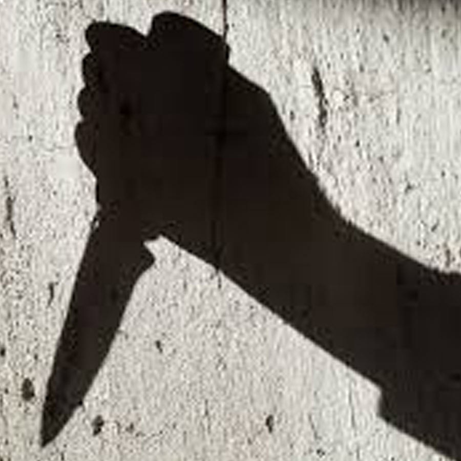 ১৯৯৪ সালে মুম্বইয়ের বাড়িতে দাউদের ছায়াসঙ্গী ছোটা শাকিলের দলবলের হাতে মারা যান স্বপ্নাদিদি। এলোপাথাড়ি ভাবে ২২ বার কুপিয়ে মেরে ফেলা হয় তাঁকে। স্বপ্নাদিদির মৃত্যুর পরেও আন্ডারওয়ার্ল্ডে সক্রিয় ছিলেন হুসেন।