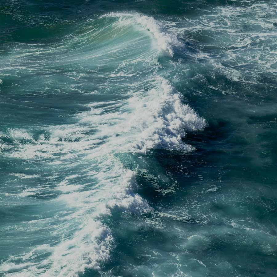 অতলান্তিক মহাসাগরে তাপপ্রবাহের কারণে বদলে যাচ্ছে বাস্তুতন্ত্র।