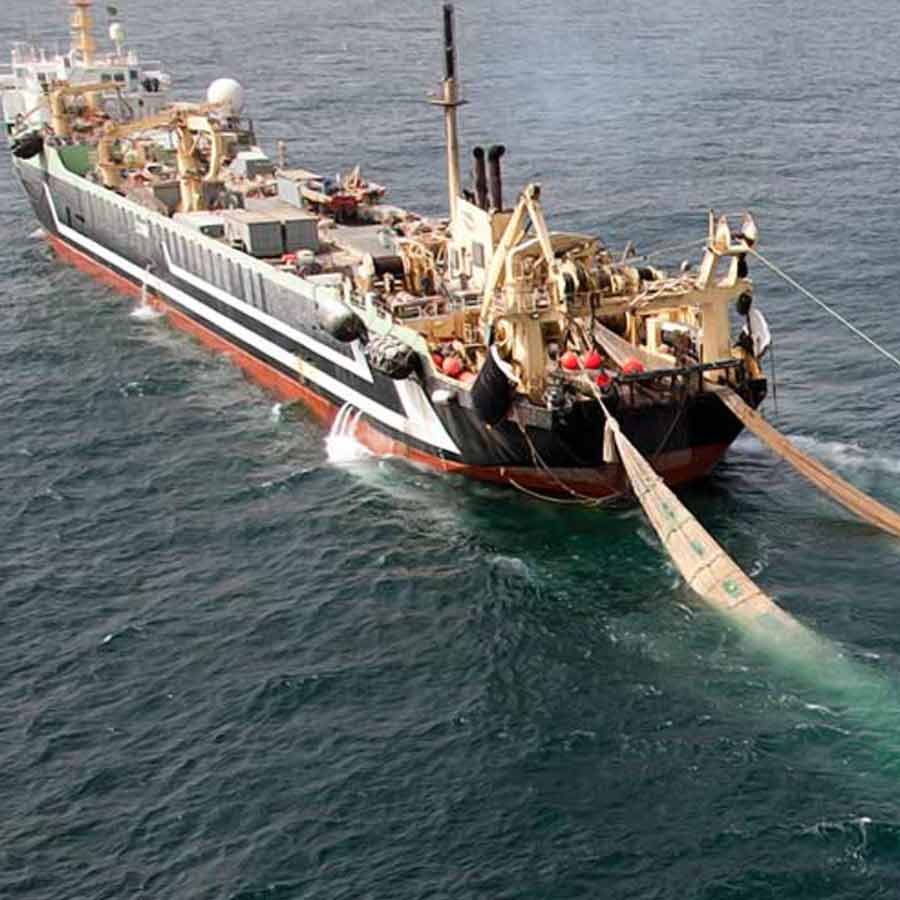 All need to know about Operation Cactus, When India deployed three military forces to protect Maldives