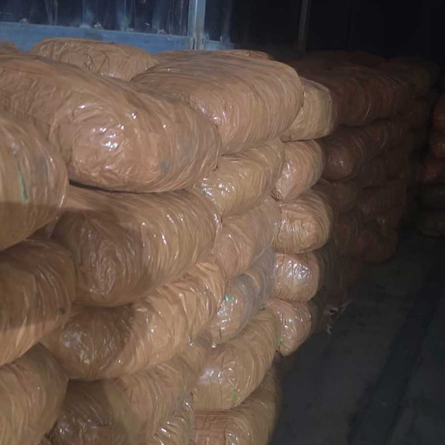 বিপুল পরিমাণ গাঁজা-সহ ধৃত দুই।