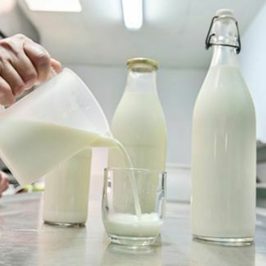 Why does Mark Carney government of Canada decide to increase Vitamin D in milk 