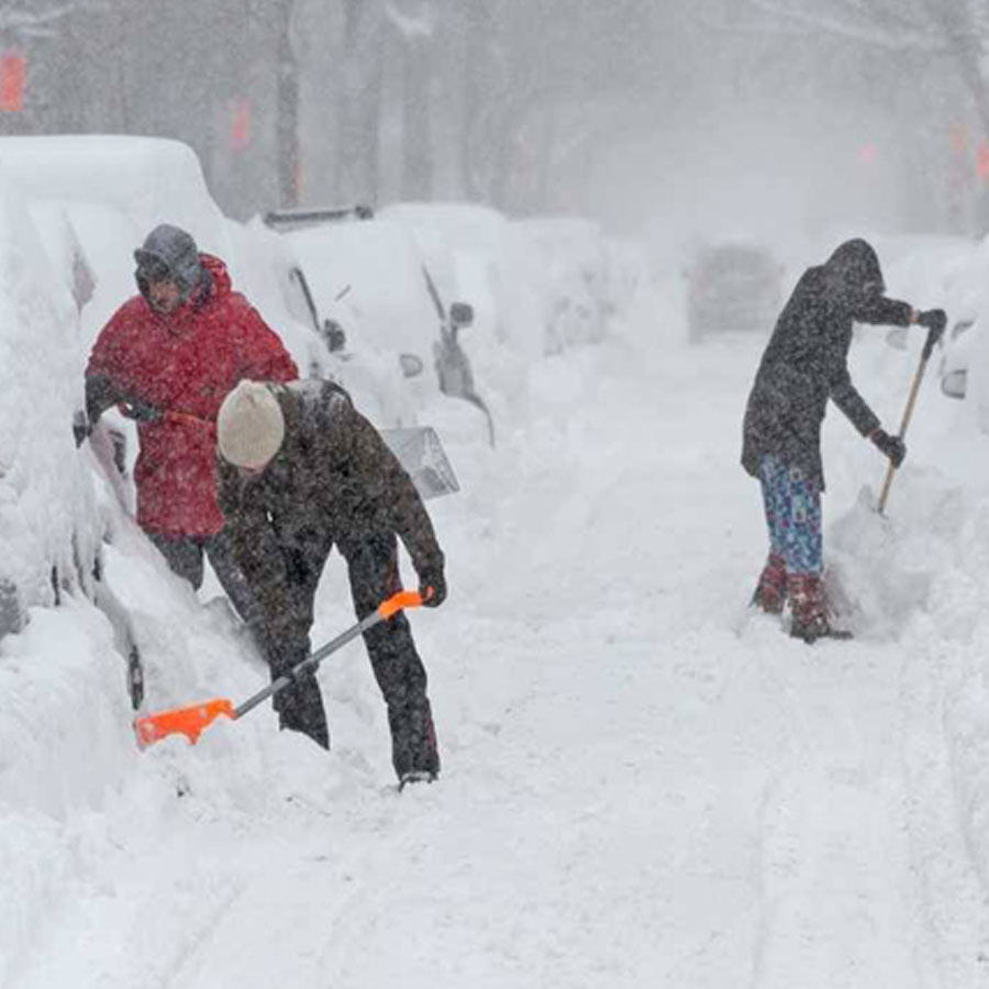 Why does Mark Carney government of Canada decide to increase Vitamin D in milk 