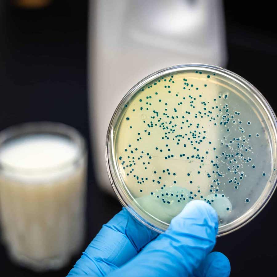 Why does Mark Carney government of Canada decide to increase Vitamin D in milk 