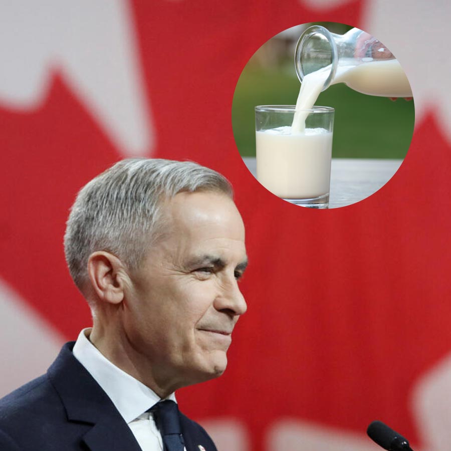 Why does Mark Carney government of Canada decide to increase Vitamin D in milk