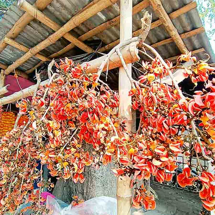 —প্রতিনিধিত্বমূলক ছবি।