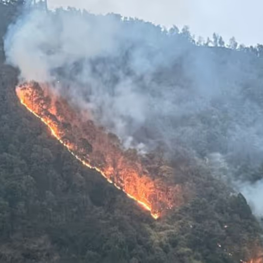 Forest fire in Sikkim’s Pangolakha Wildlife Sanctuary dgtl