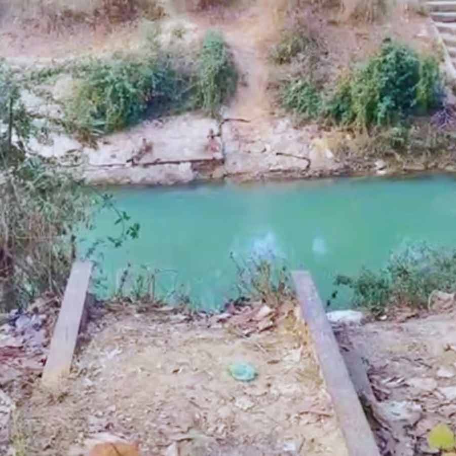 60-foot-long, 30-tonne iron bridge stolen within overnight in Chhattisgarh