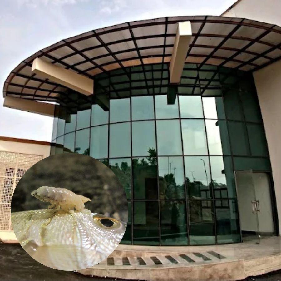 ন্যাশনাল ইনস্টিটিউট অফ অ্যানিমেল বায়োটেকনোলজি।