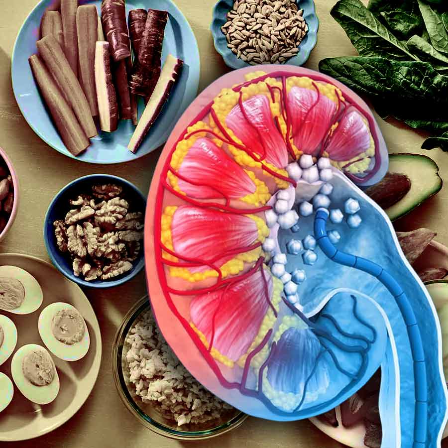 কিডনির রোগীরা স্বাদ বদলে কোন ধরনের খাবার খেতে পারেন?