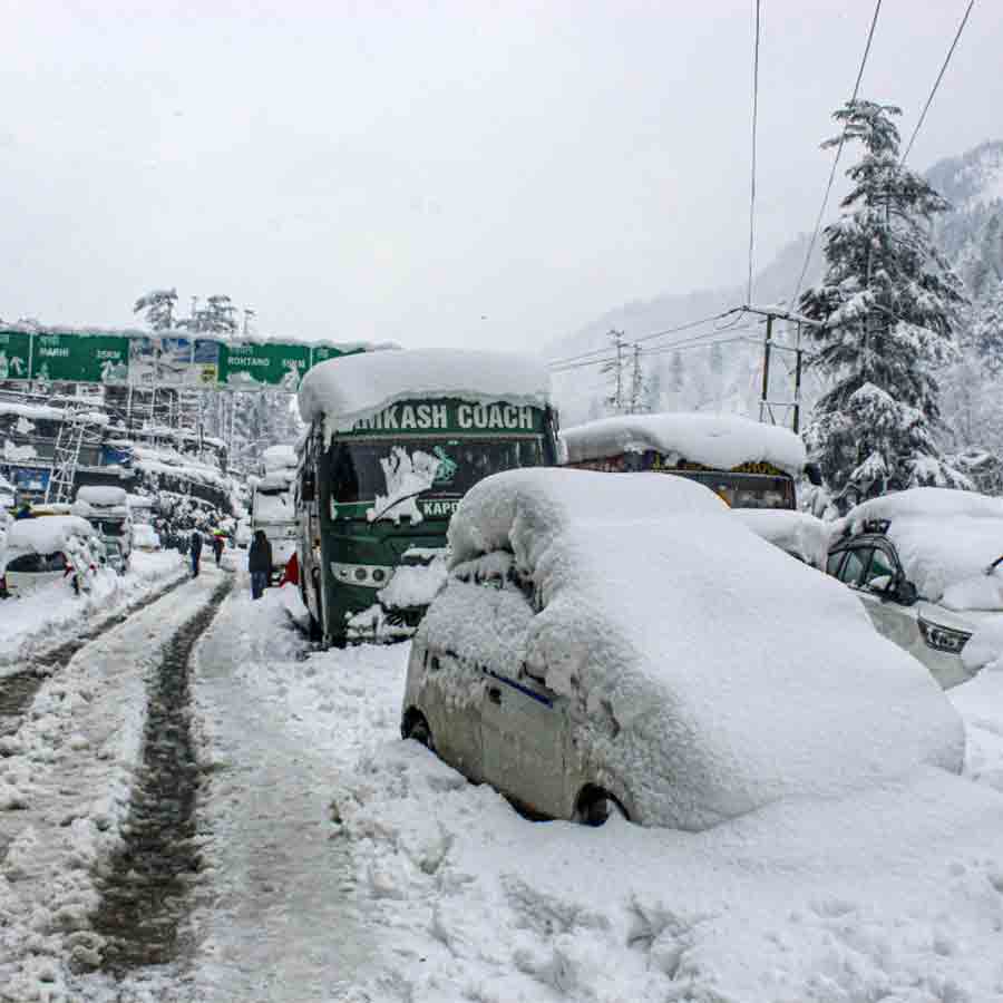 ভারী তুষারপাত মানালিতে। ছবি: সংগৃহীত।